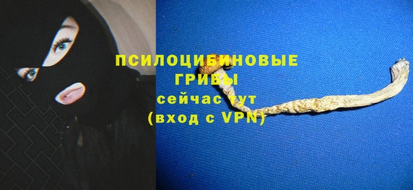 спайс Абаза
