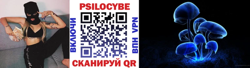 Псилоцибиновые грибы прущие грибы  блэк спрут ссылки  Иваново  купить  сайты 